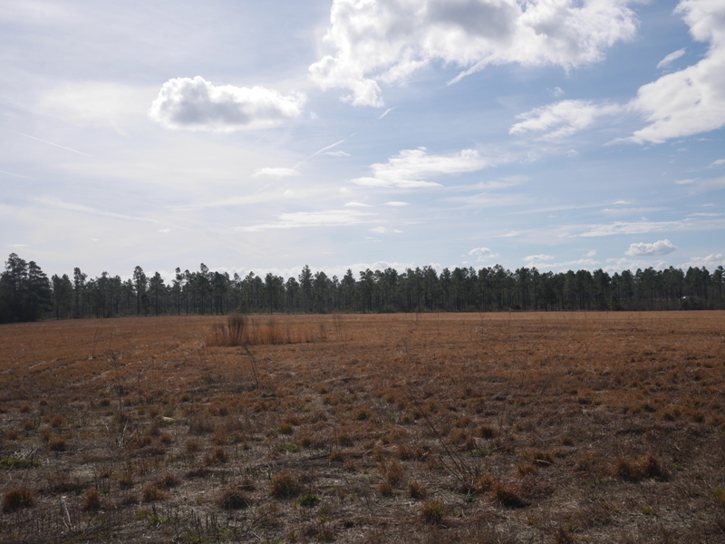 Temple Rd. Acreage Photo