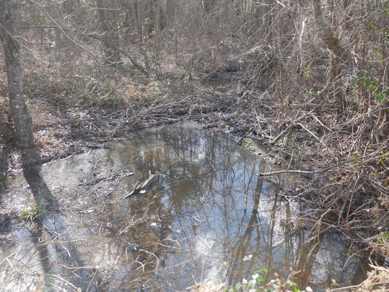 Temple Rd. Acreage Photo