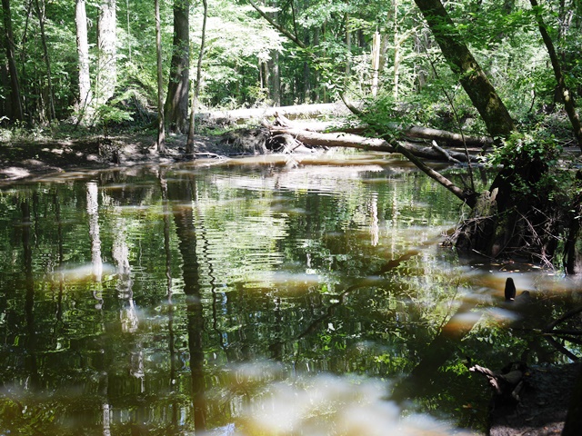 Buckhead Mill Photo