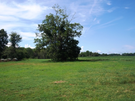 Johnny White Farm Photo