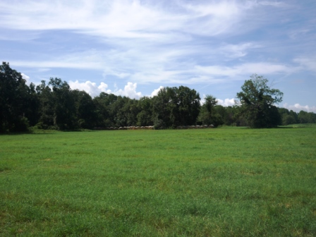 Johnny White Farm Photo