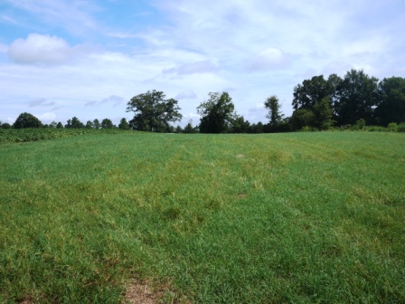 Johnny White Farm Photo