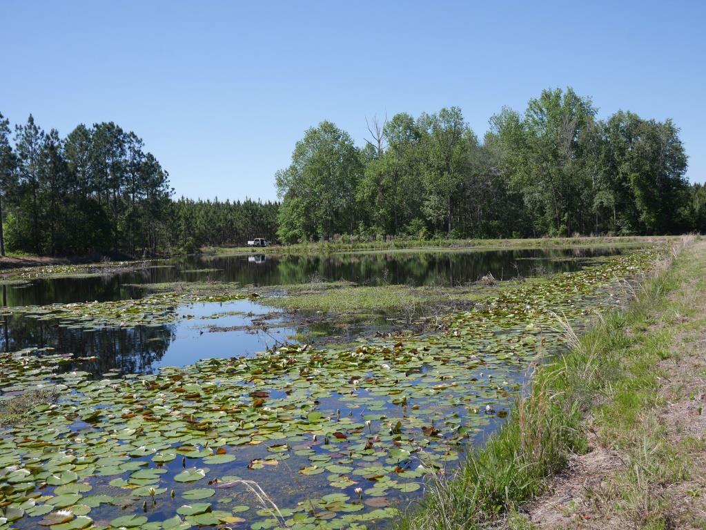 Saunders Pond Photo