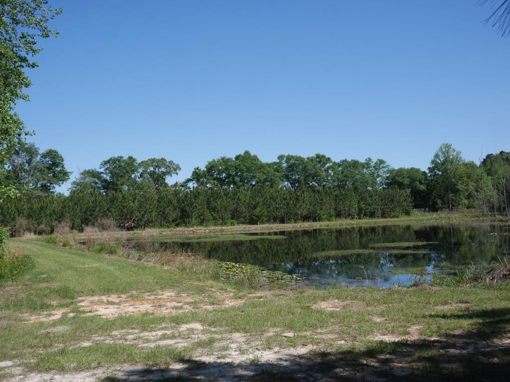 Saunders Pond Photo