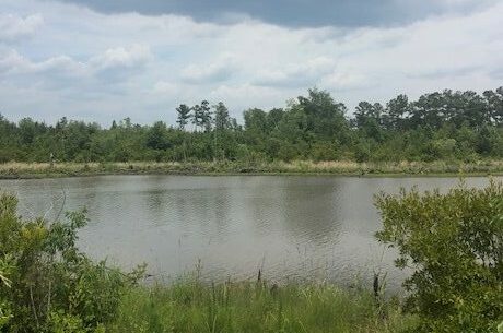 Starr Pond