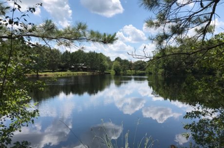 Cedar Creek Cabin