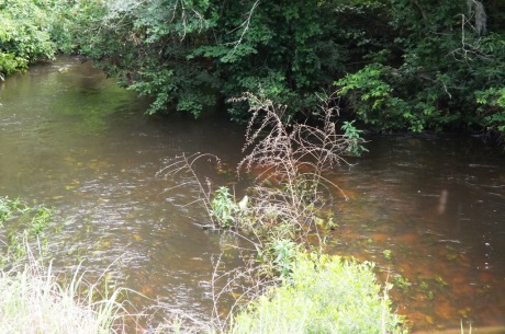 Chew Mill Creek