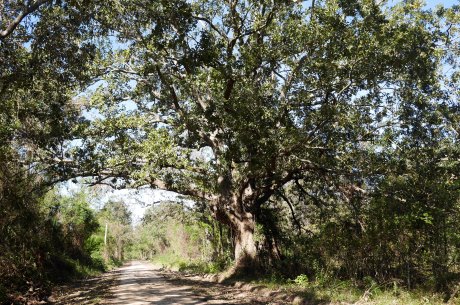 Sonny Allen Rd.