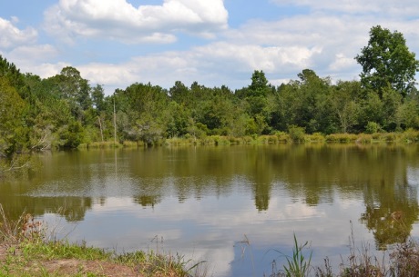 Sand Creek Farm