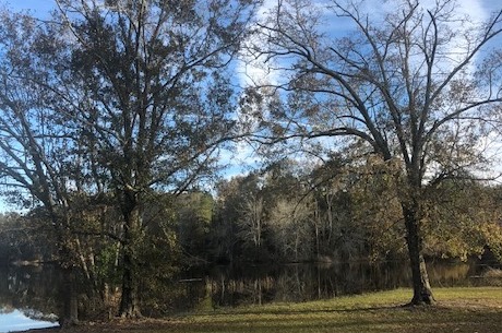 McElveen Pond