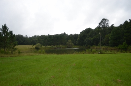 Live Oak Pond