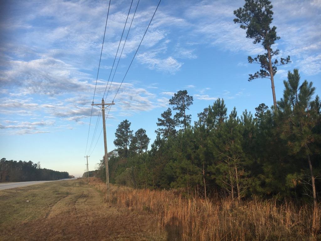 Bay Branch Homesite Photo