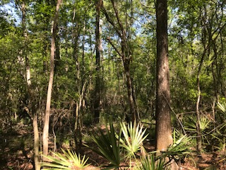 Huckleberry Road Photo