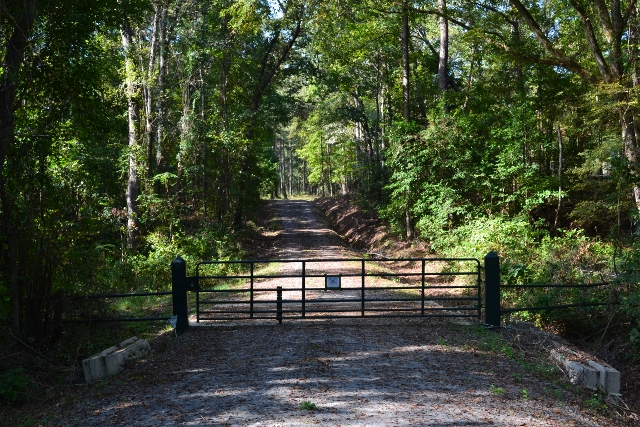 Hall Plantation Photo