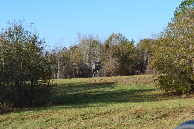 Fortner Mill Pond Photo