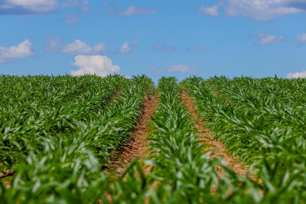 Three Bale Farm Photo