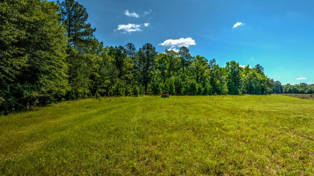 Ennis Lake Photo