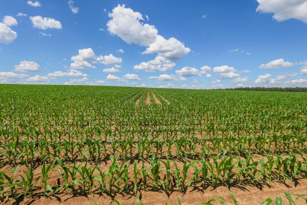 Three Bale Farm Photo