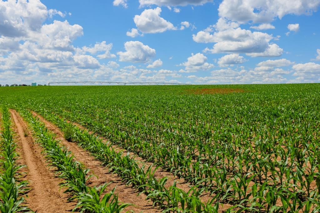 Three Bale Farm Photo