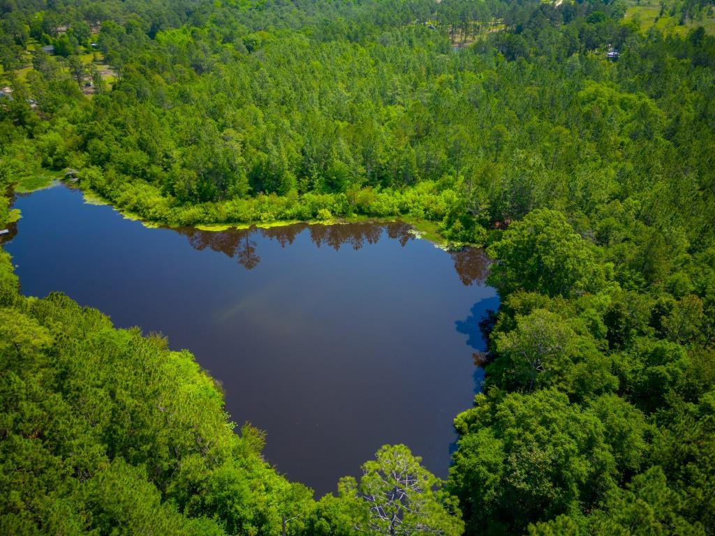 Worth County Pond Property Photo