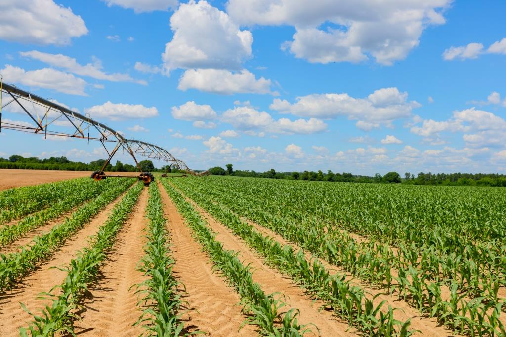 Three Bale Farm Photo