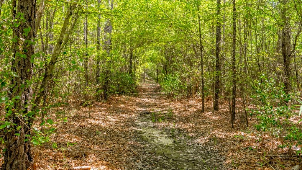 Worth County Pond Property Photo