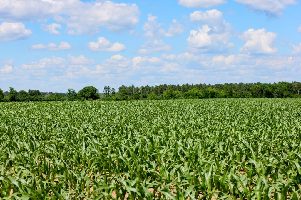 Three Bale Farm Photo