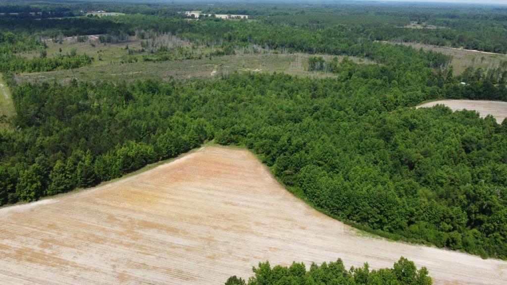 Banks Creek Church Road Photo