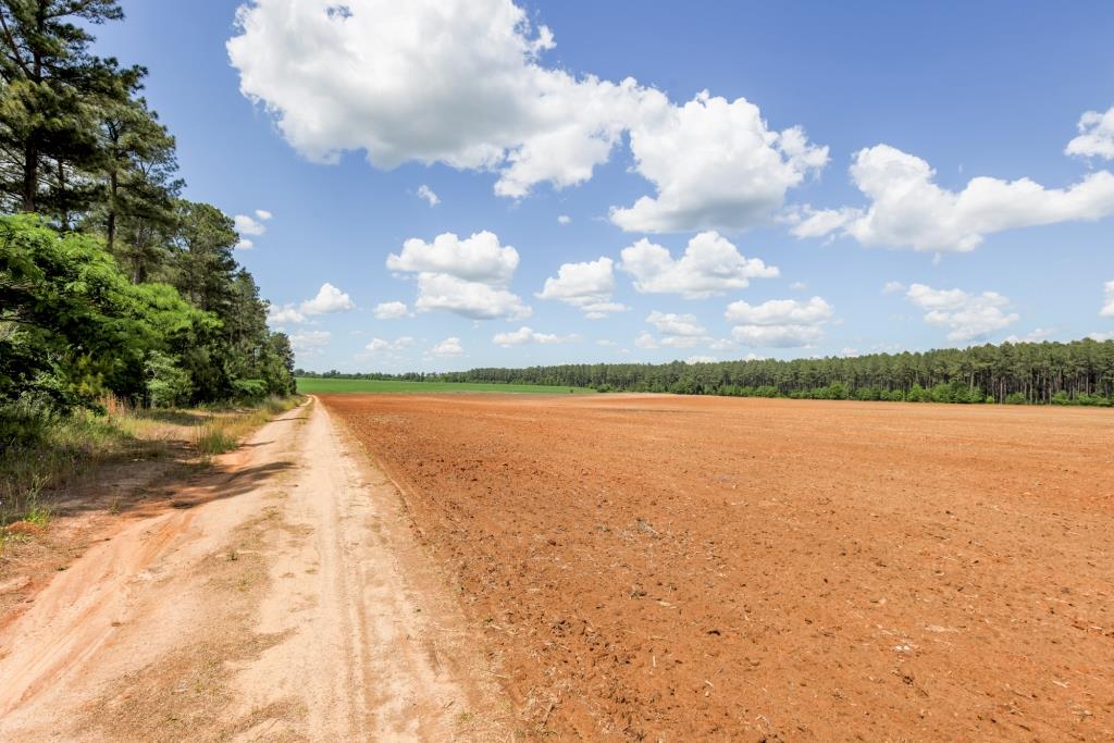 Three Bale Farm Photo