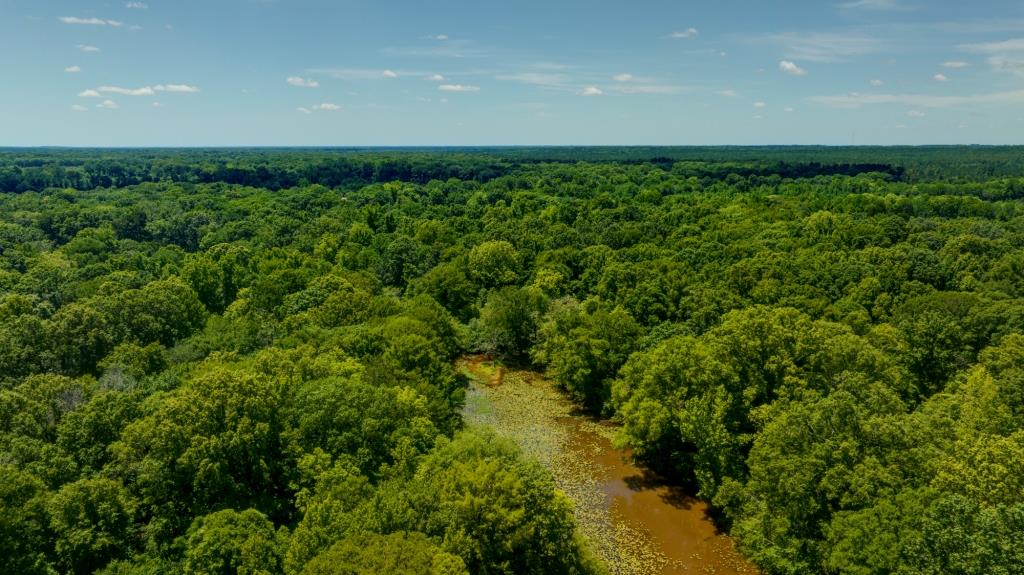 Ennis Lake Photo