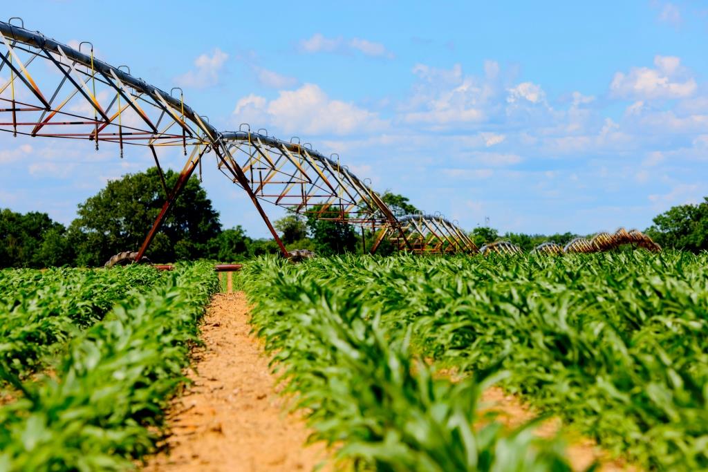 Three Bale Farm Photo