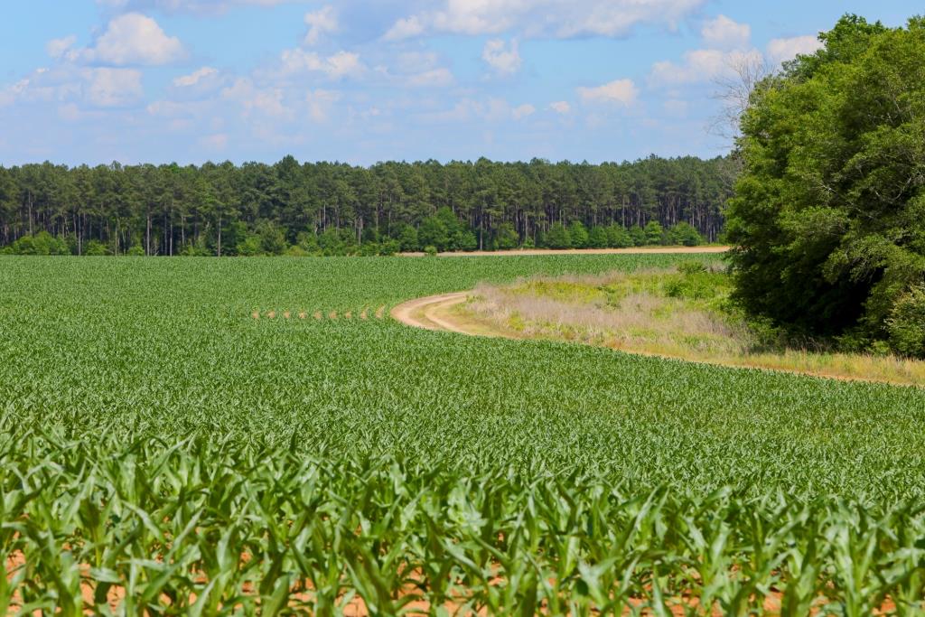 Three Bale Farm Photo