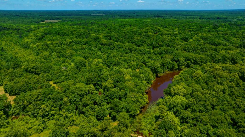 Ennis Lake Photo