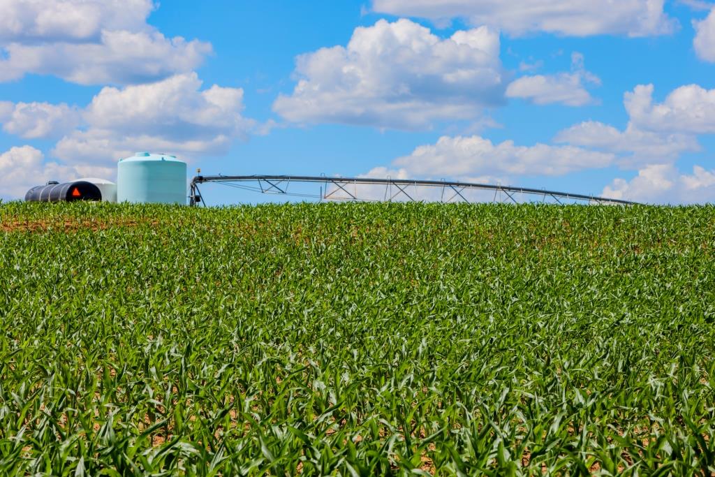 Three Bale Farm Photo