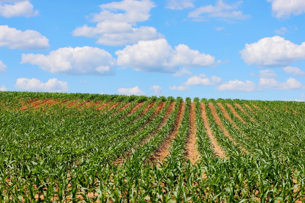 Three Bale Farm Photo