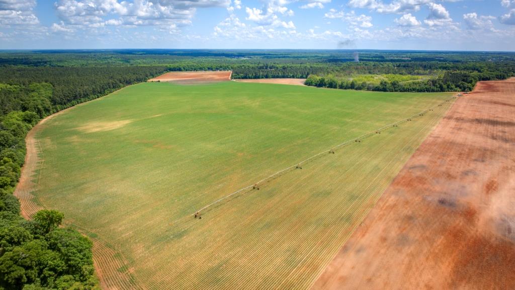 Three Bale Farm Photo