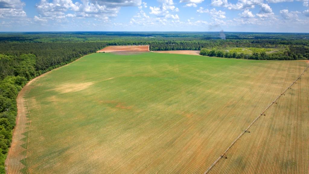 Three Bale Farm Photo