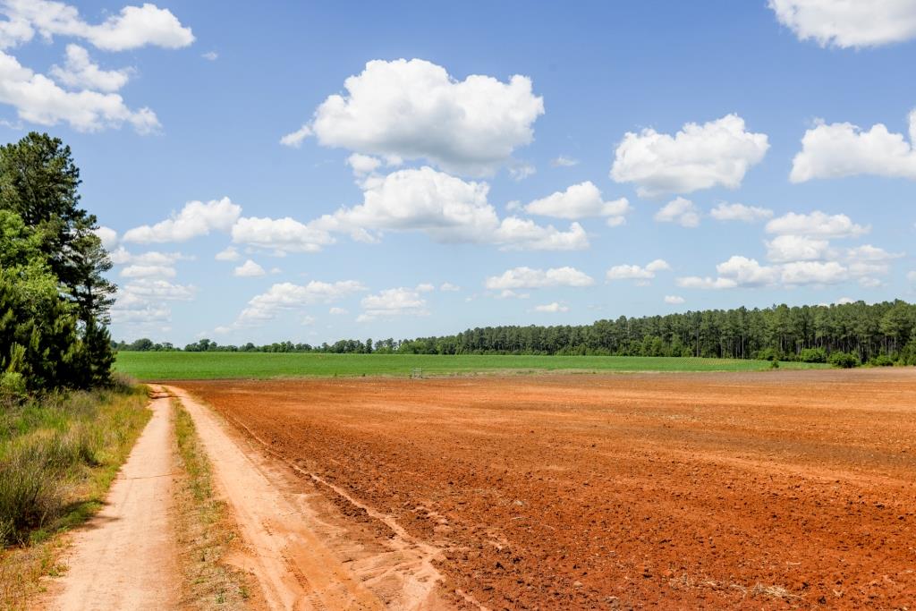 Three Bale Farm Photo