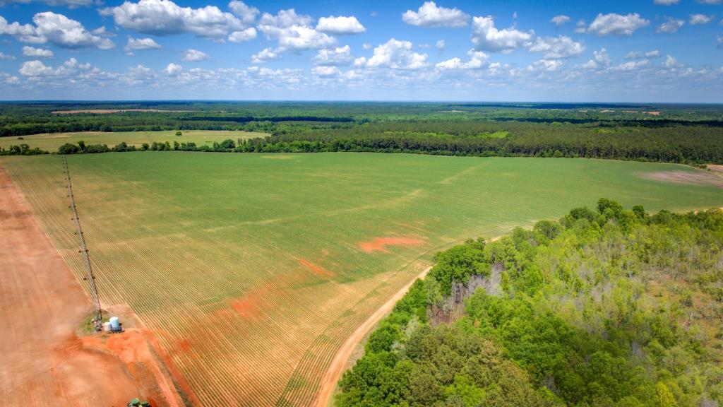 Three Bale Farm Photo