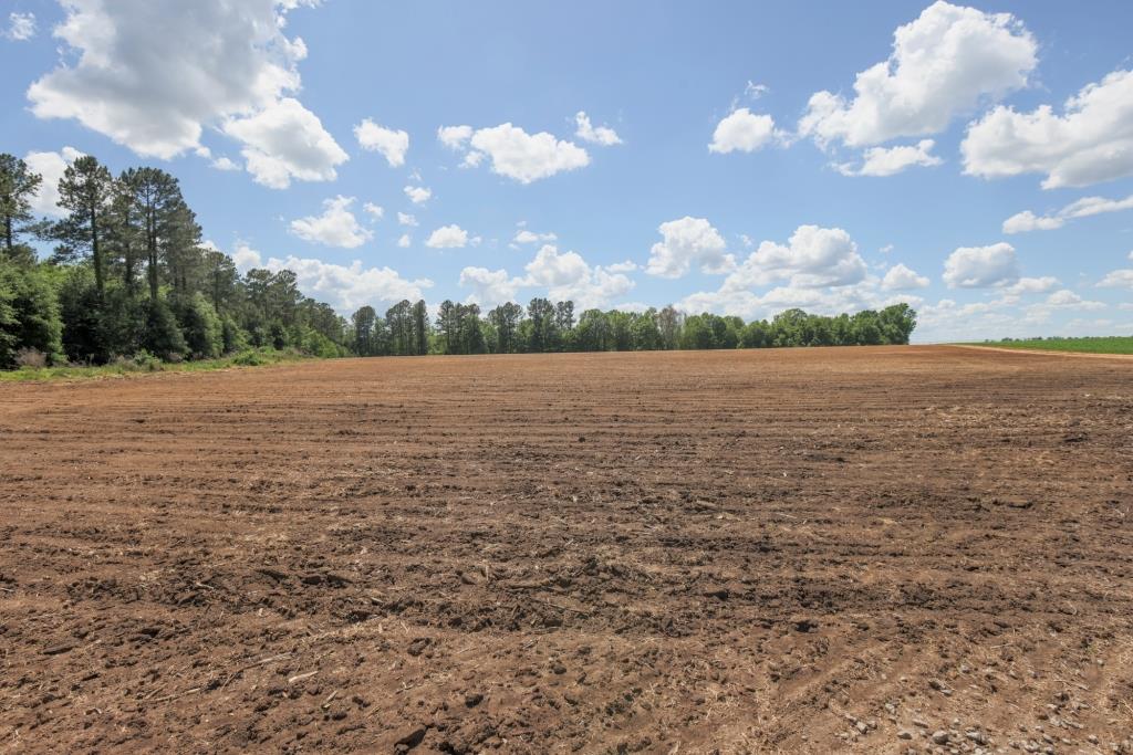 Three Bale Farm Photo