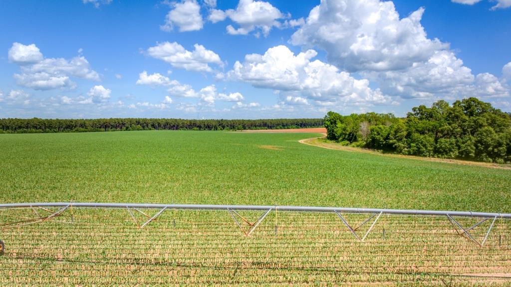 Three Bale Farm Photo