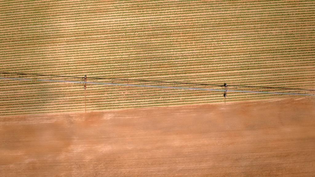 Three Bale Farm Photo