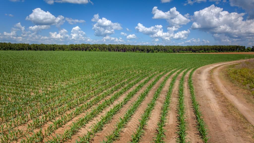 Three Bale Farm Photo