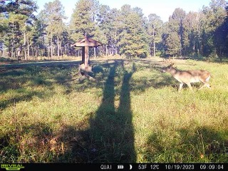 Persimmon Creek Photo