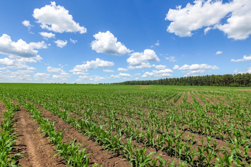 Three Bale Farm Photo