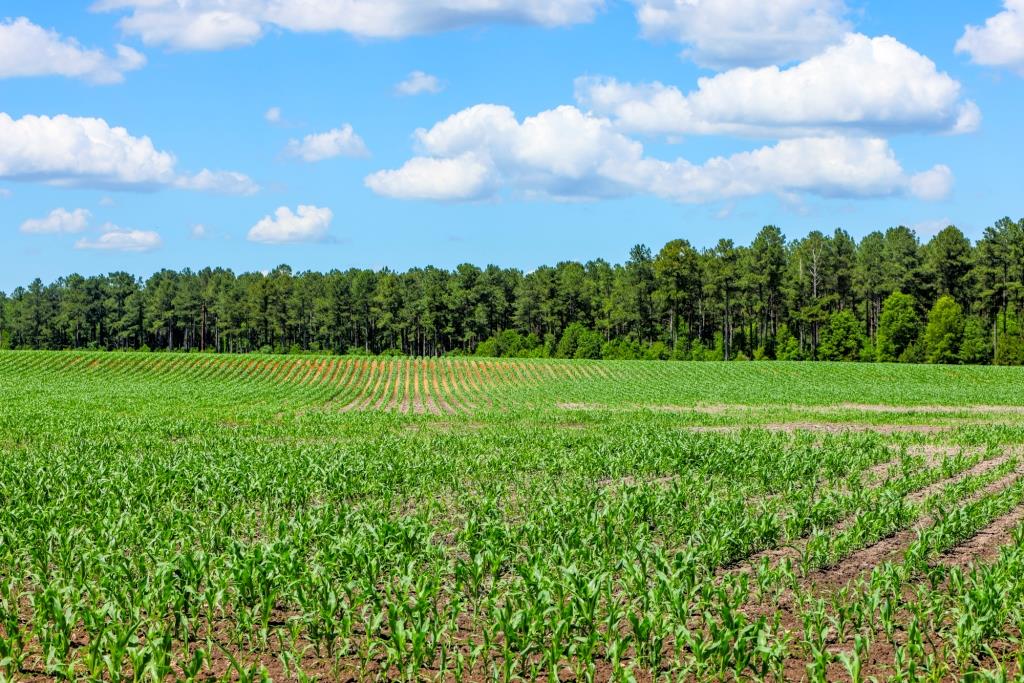 Three Bale Farm Photo