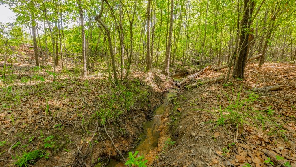 Worth County Pond Property Photo