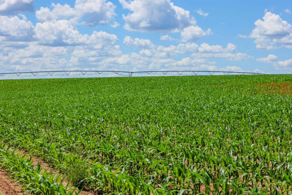 Three Bale Farm Photo