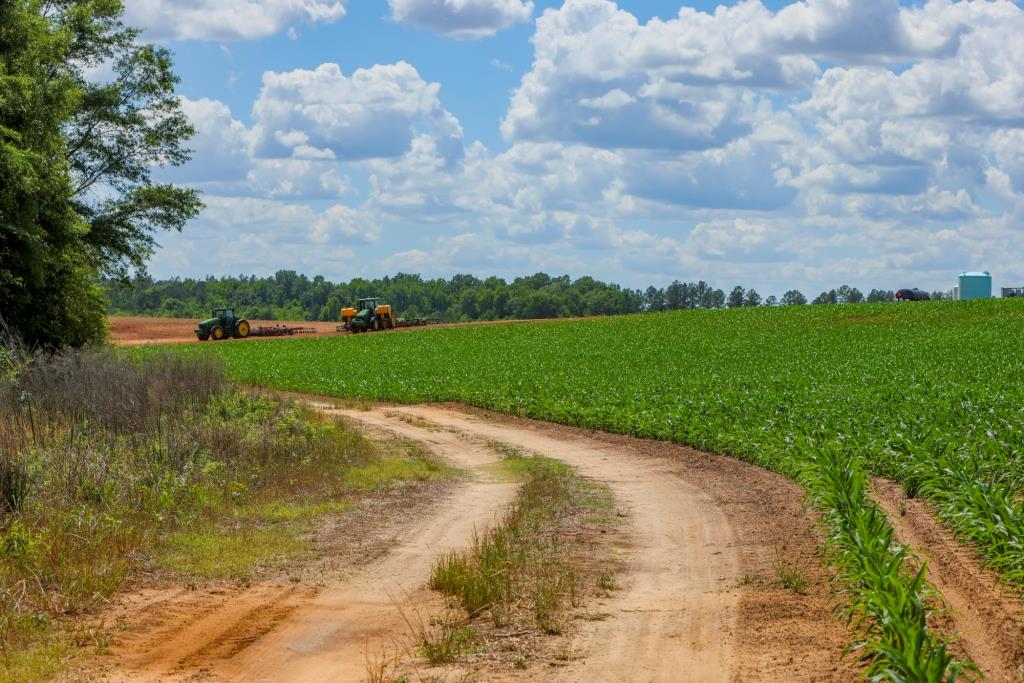 Three Bale Farm Photo