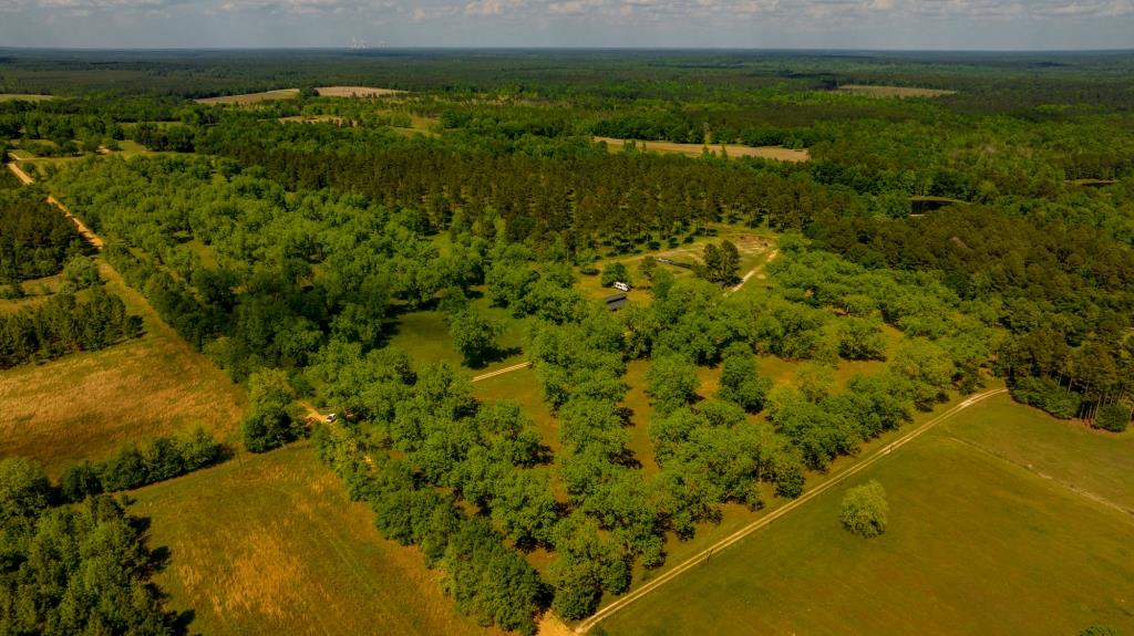 Persimmon Creek Photo